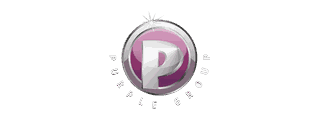 Purple Group, associate of Surbhi Navratri Garba 2026, Nagpur